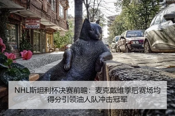NHL斯坦利杯决赛前瞻：麦克戴维季后赛场均得分引领油人队冲击冠军